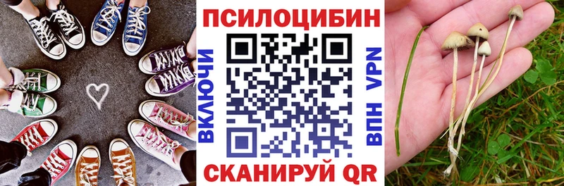 MEGA вход  Егорьевск  Псилоцибиновые грибы Cubensis  сколько стоит 